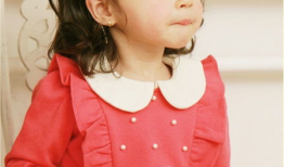 n麻豆,揭秘网络红人的魅力与影响力